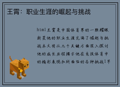 王霄：职业生涯的崛起与挑战